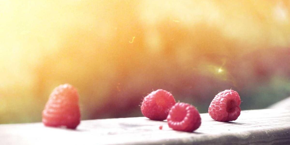 San Diego Airshow 2023: Performers and Schedule