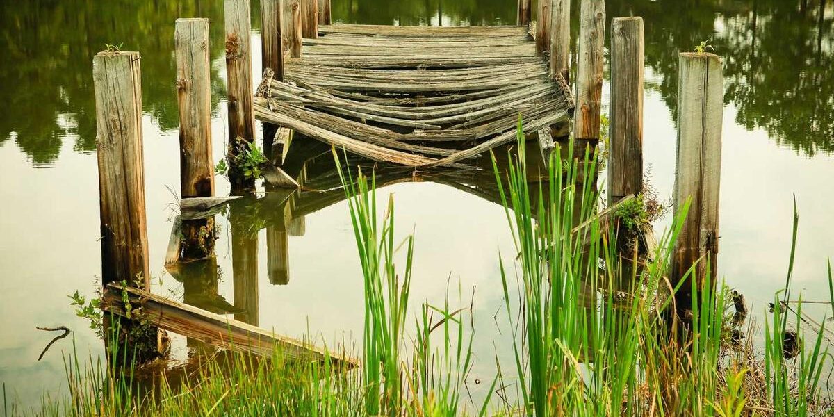 Warbirds Over Monroe Airshow: Aircraft and Event Details