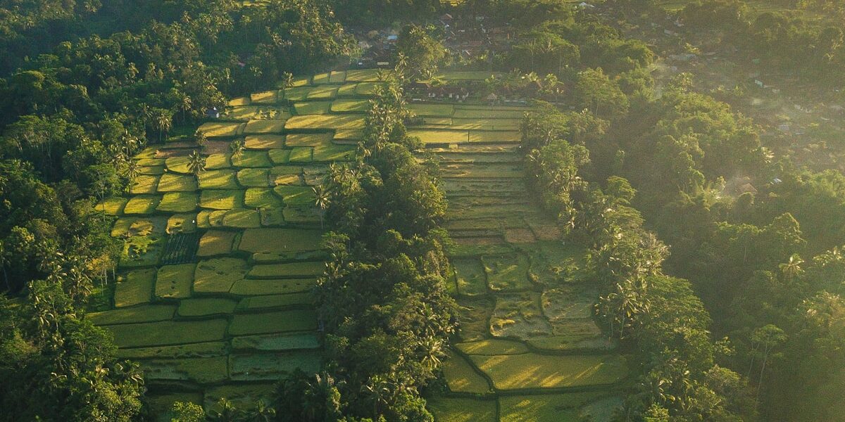 8 Aerobatic Stars Flying Solo at 2025 Airshows