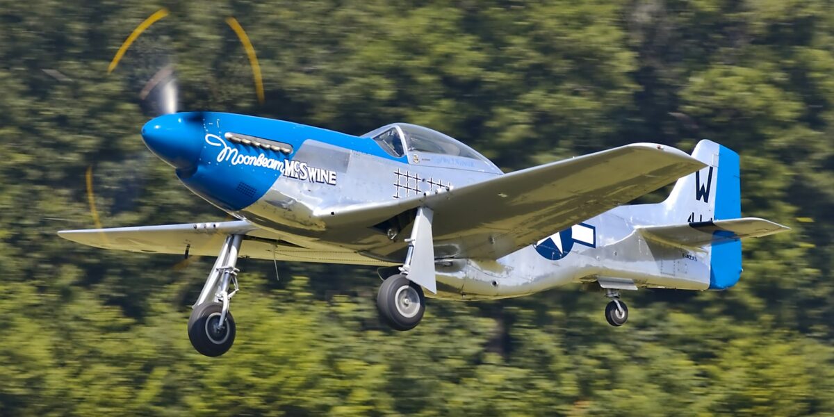 P-51D Mustang WWII warbird fighter aircraft