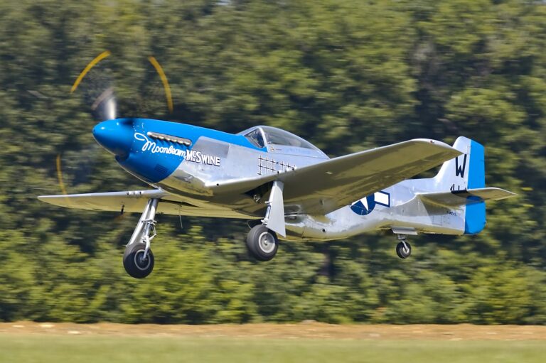 P-51D Mustang WWII warbird fighter aircraft
