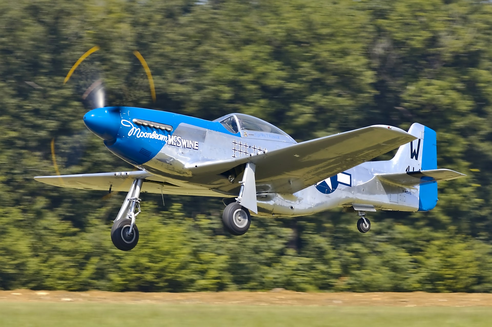 P-51D Mustang WWII fighter