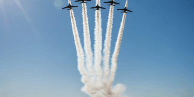 Former Snowbirds Pilots Propose Scale-Back Alternative to Full Team Retirement