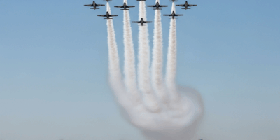 Keep Them Flying Campaign Surpasses 25,000 Postcards to Parliament Hill Snowbird